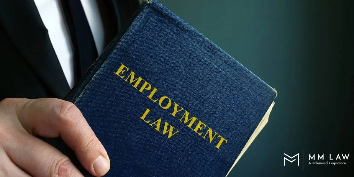 Employment Law Attorneys Burbank, CA